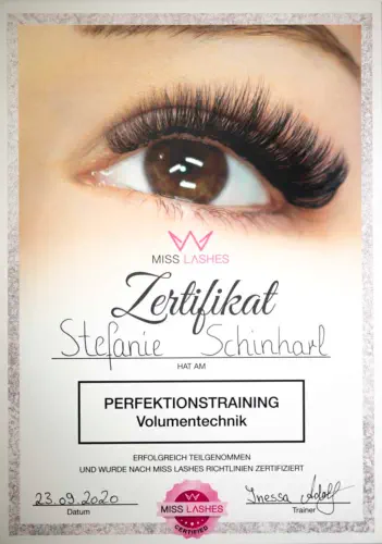 Perfektionstraining Volumentechnik - Wimpern